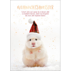 Weihnachtshamster