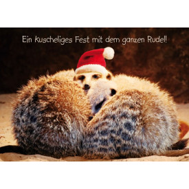 Ein kuscheliges Fest…